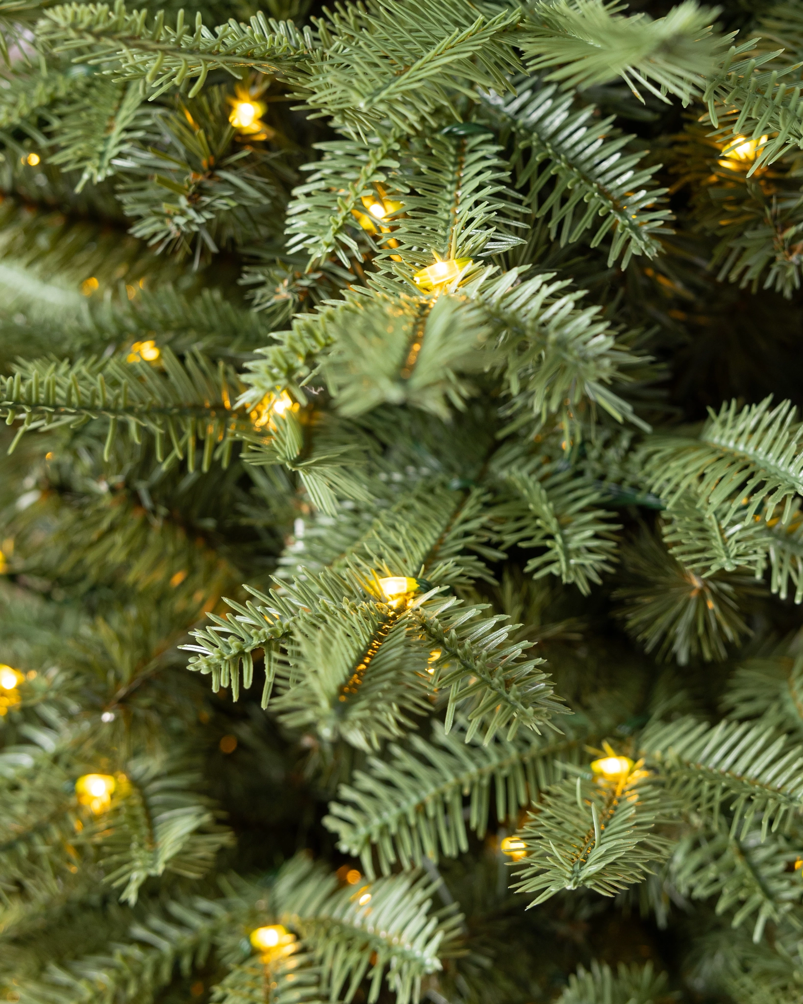 BH homefreshplants Fir Tabletop - Image 11