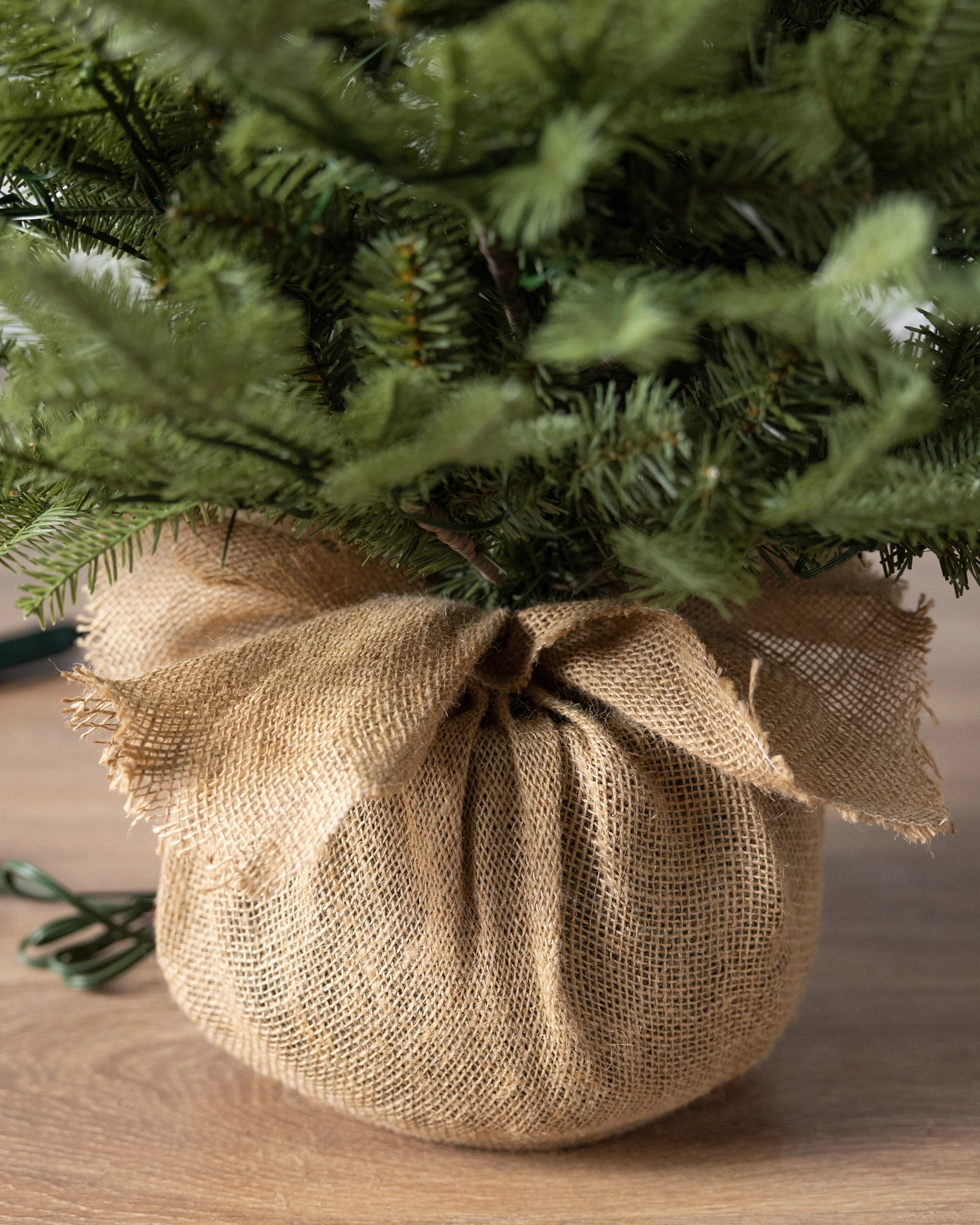 BH homefreshplants Fir Tabletop - Image 5