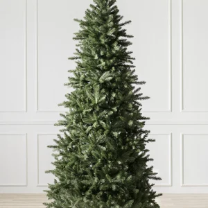 Berkshire Mountain Fir Christmas Tree